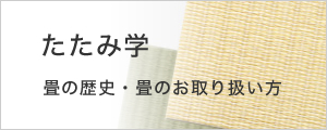 たたみ学　畳の歴史・畳のお取り扱い方